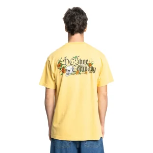 DC Shoes Standoff SS Tee Rattan Rain Wash
