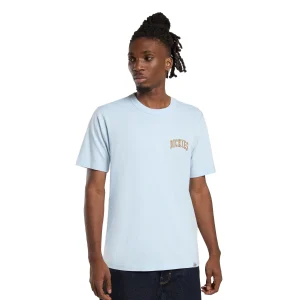 Dickies Aitkin Chest T-Shirt Skyway