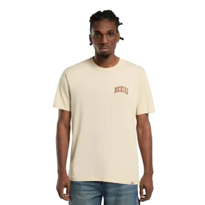Dickies Aitkin Chest T-Shirt Wood Ash