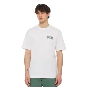 Dickies Aitkin Chest T-Shirt White