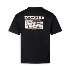 Dickies Landscape SS Tee Black