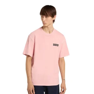Dickies Buchtell SS Tee Bridal Rose